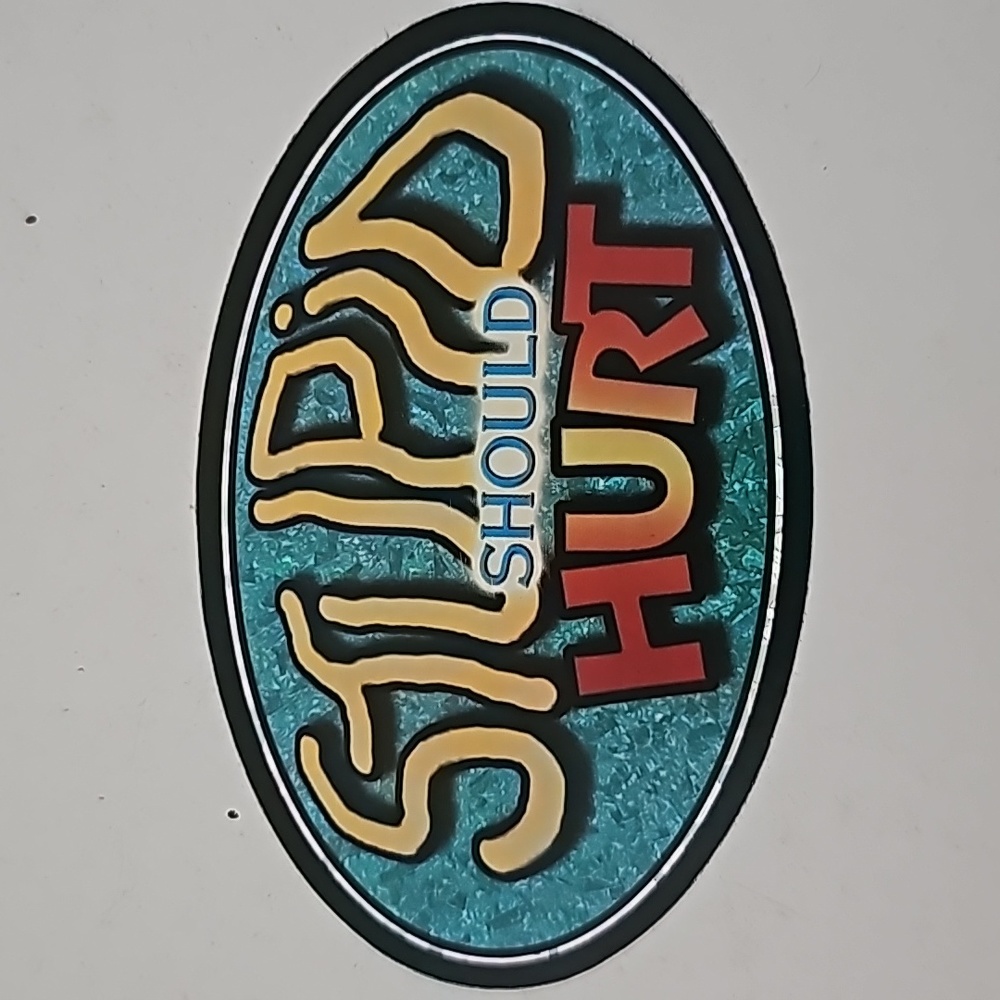 10/$25 vintage 90s y2k stupid should hurt sticker